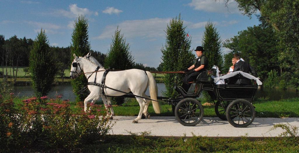Вілла Statek Sedlecko Екстер'єр фото